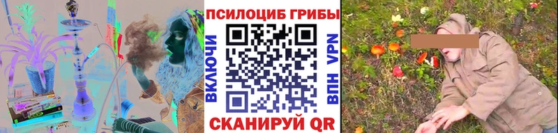 Псилоцибиновые грибы Psilocybe  Буинск 